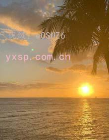 ʧ